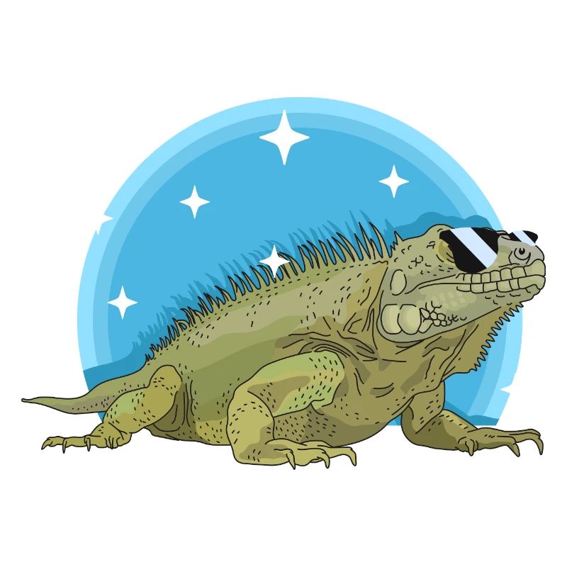 Iguana Lizard Iguanas Gift