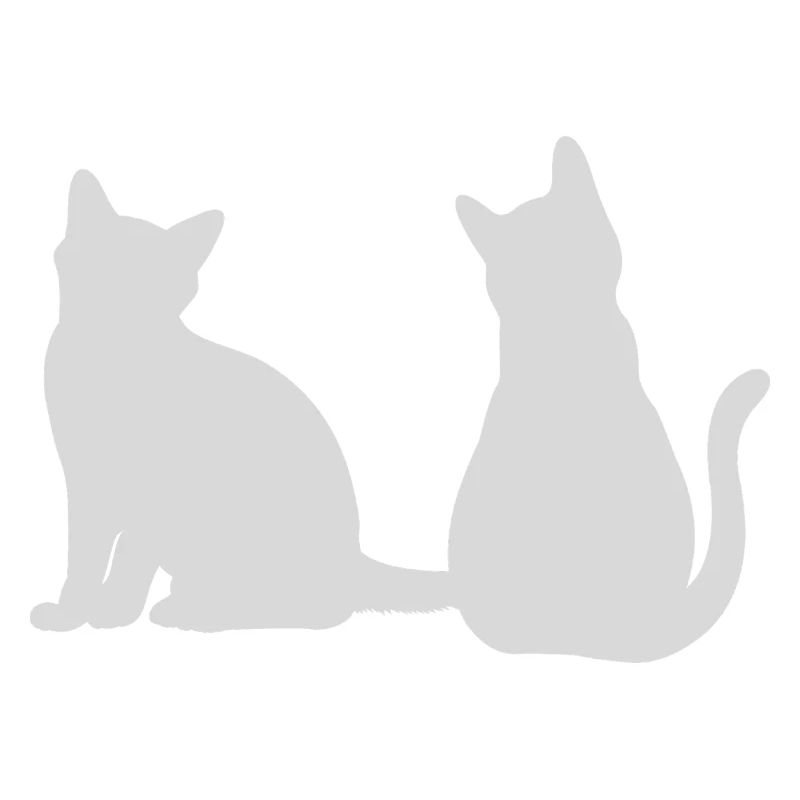 Chats dos à dos Design