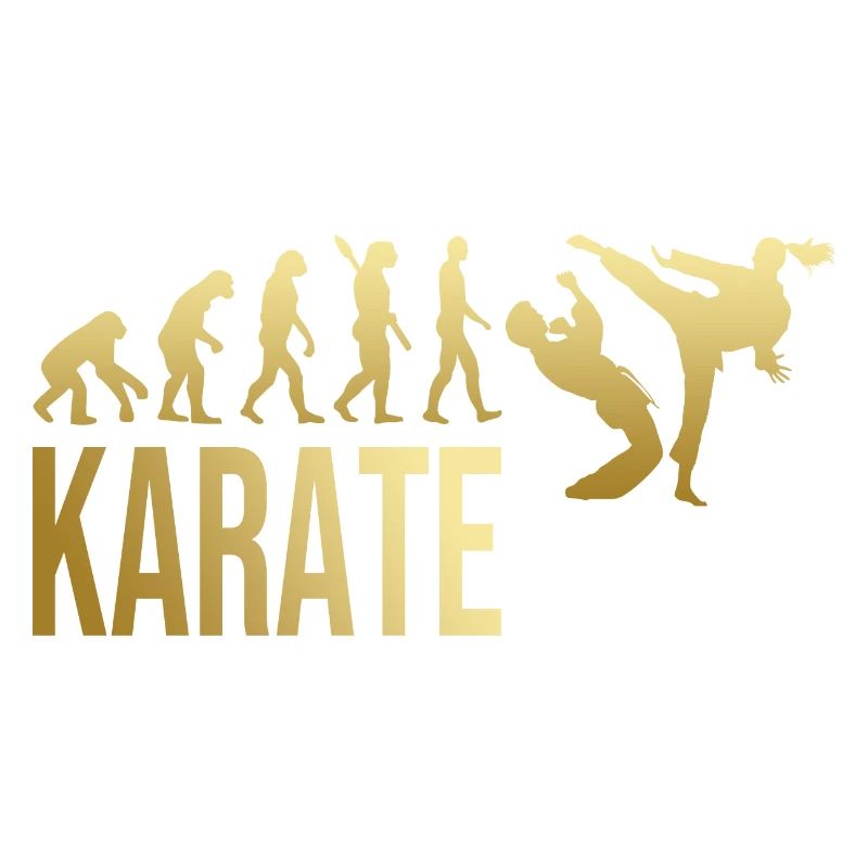 Evolution Karate