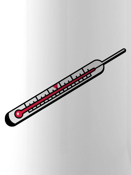 Ein Quecksilber Thermometer
