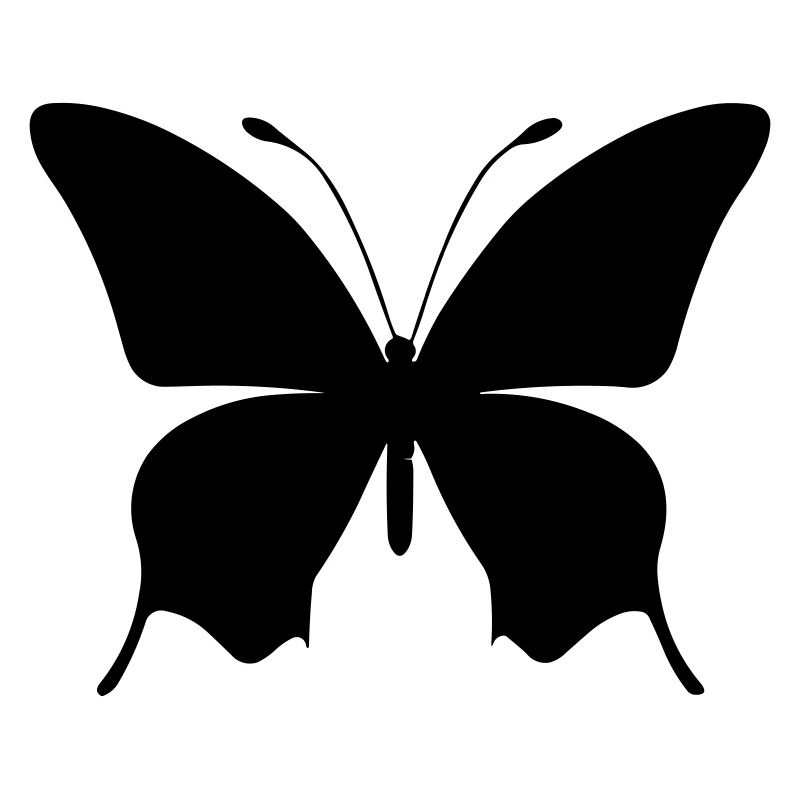 Petit papillon