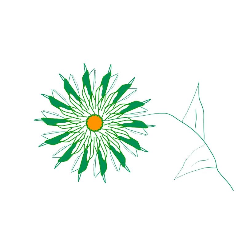 fleur verte