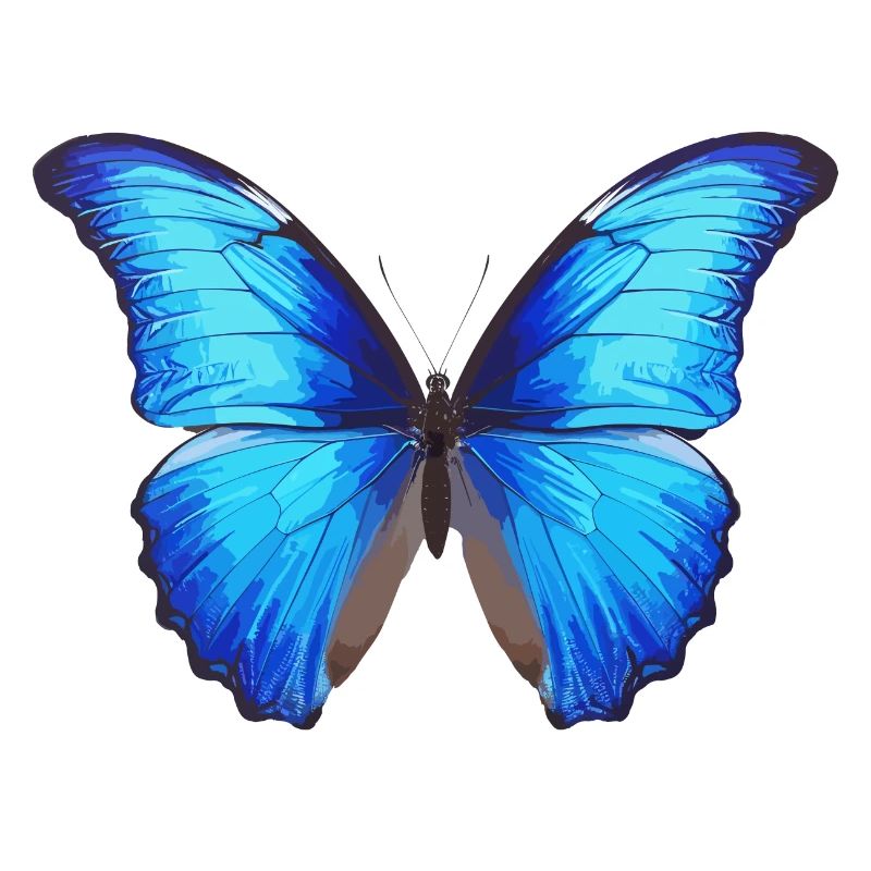 Morpho Papillon Bleu