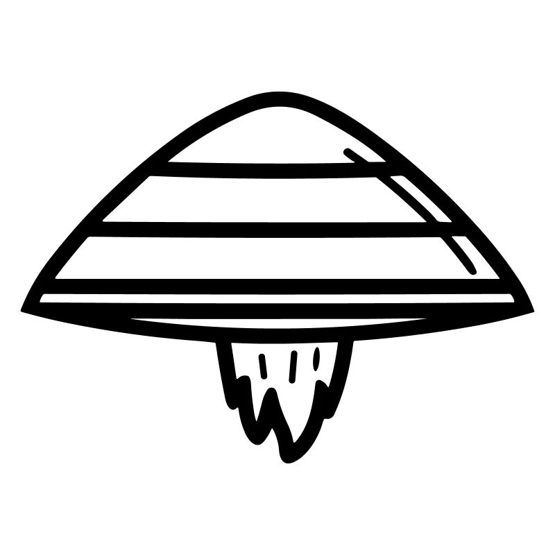 flying saucer