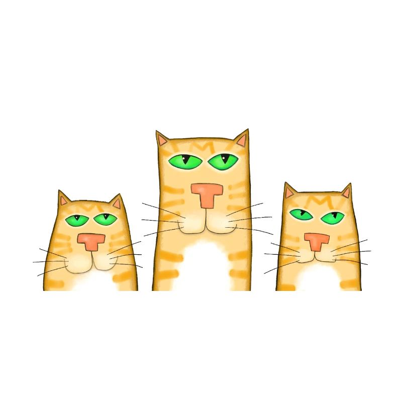 3 Katzen