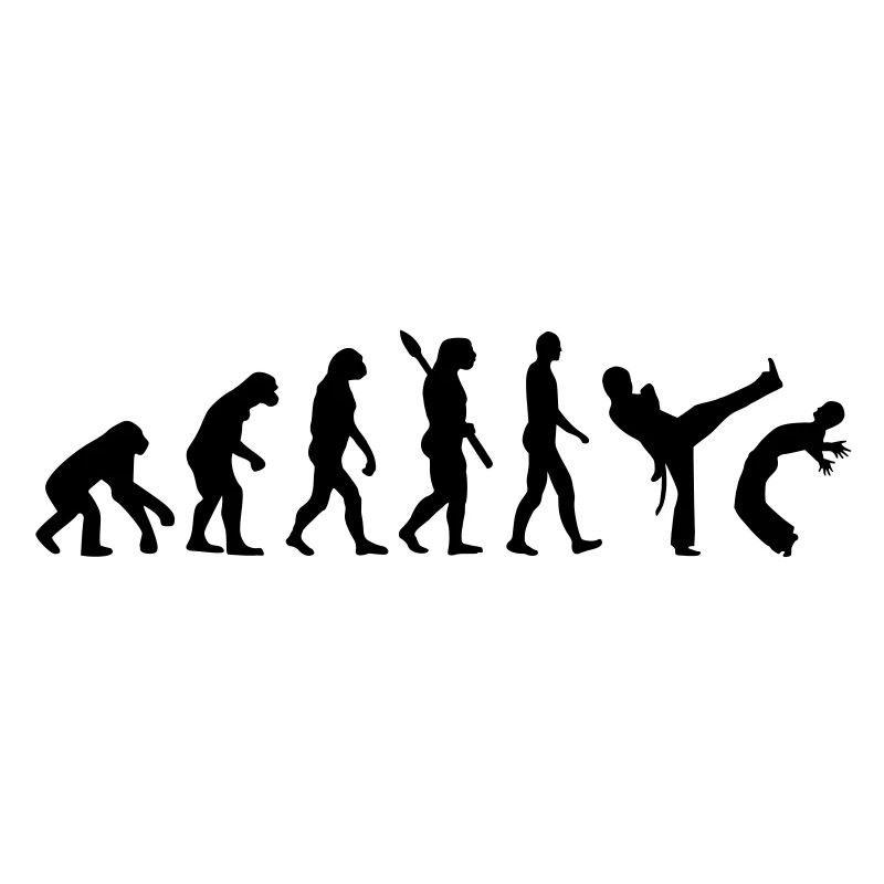 Évolution Capoeira
