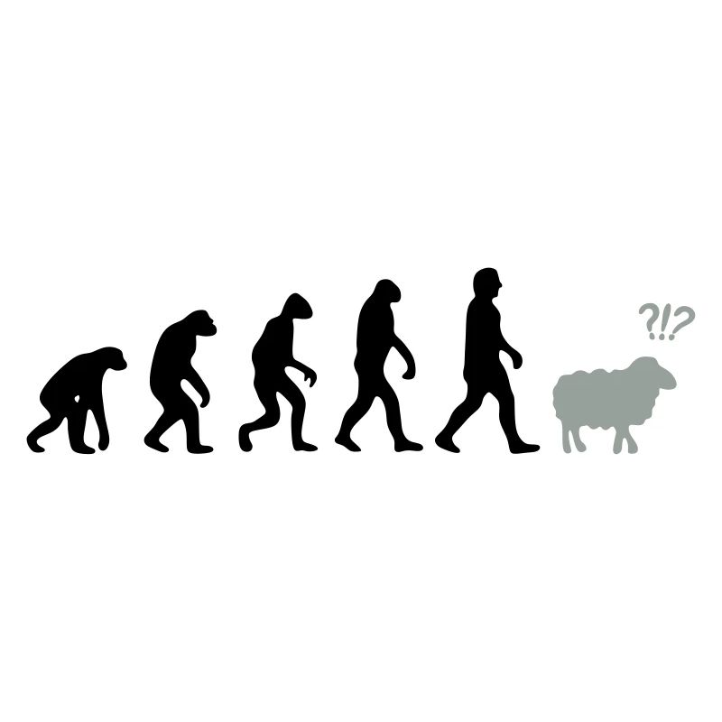 evolution mouton