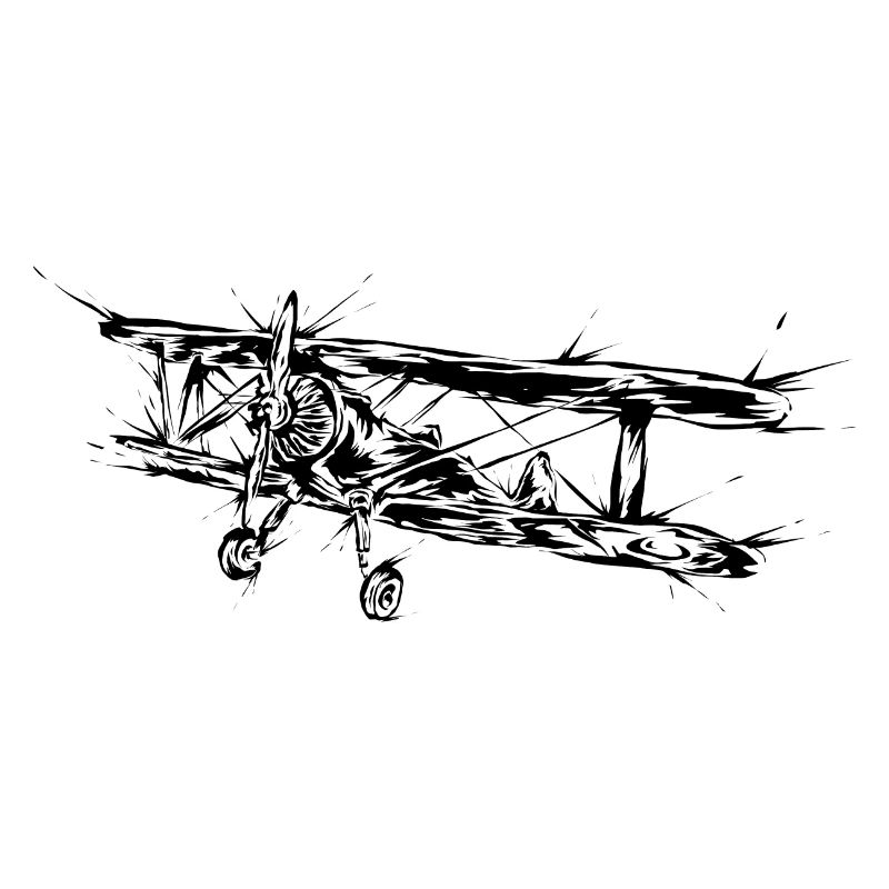 Flugzeug Pilot