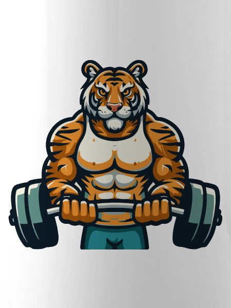 TIGER FITNESSSTUDIO