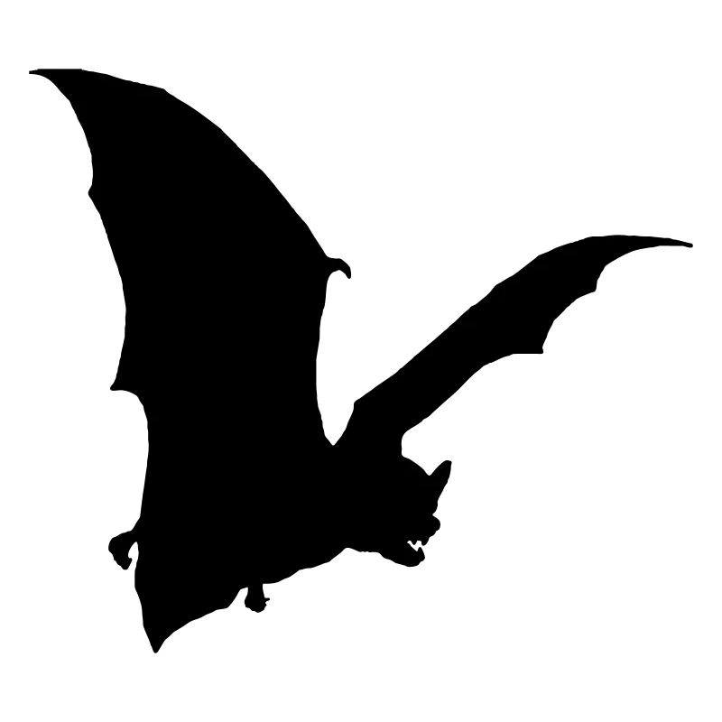 bat