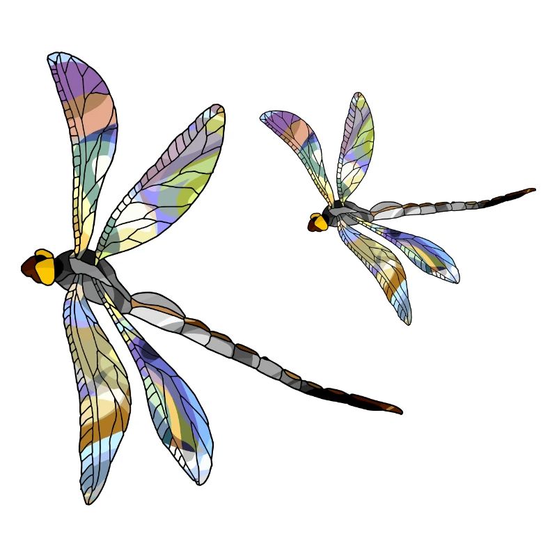 Libellules