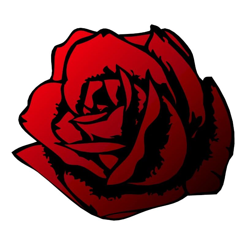 rose fleur