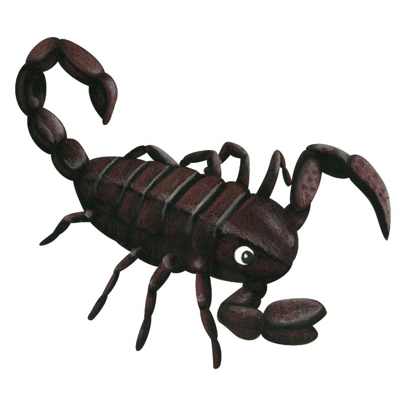 small scorpion