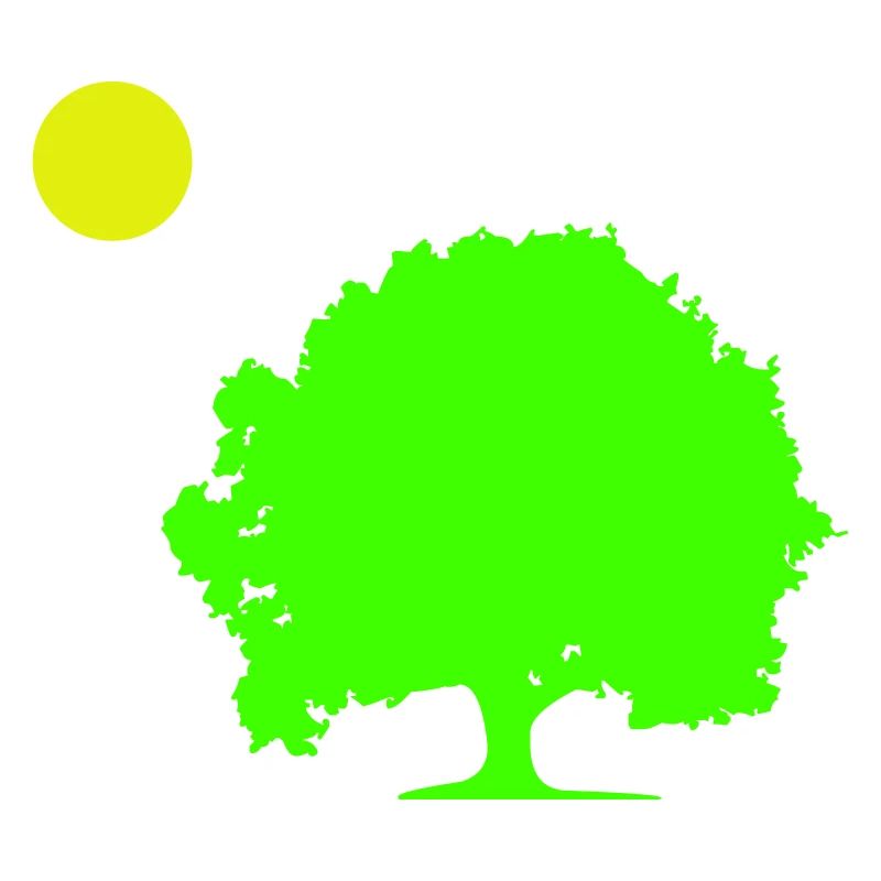 baum sonne