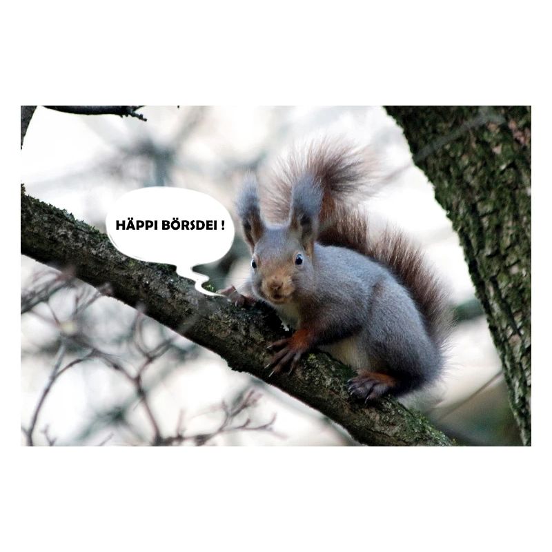 Eichhörnchen, Isibat