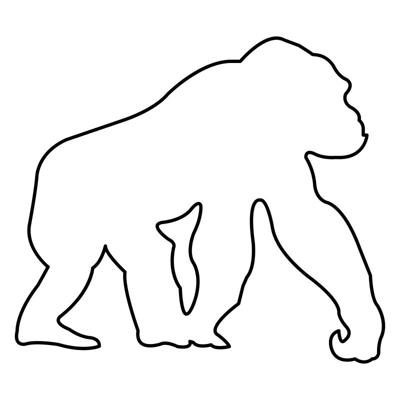 monkey