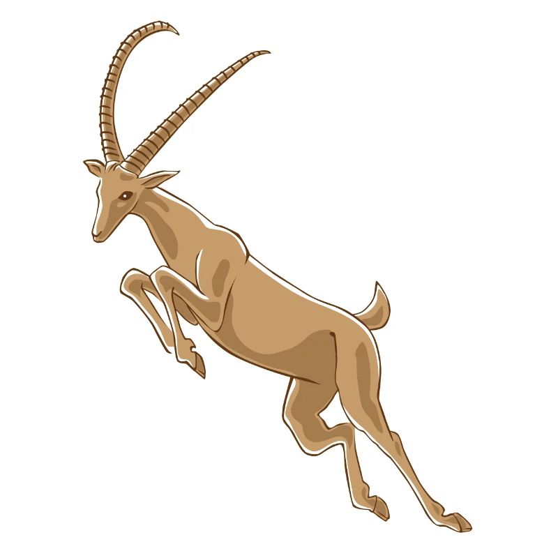 ibex