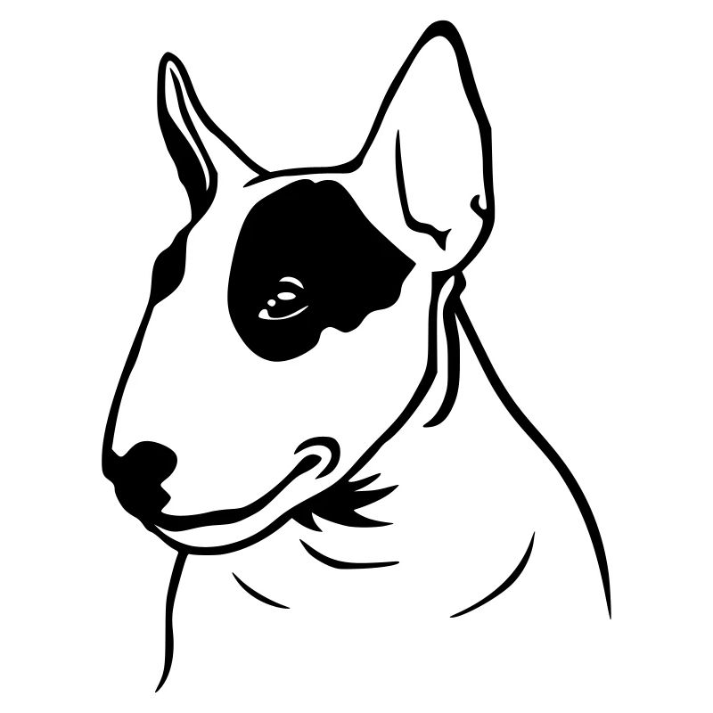 Profil de Bull Terrier (G)