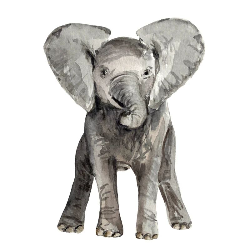 Éléphant bébé