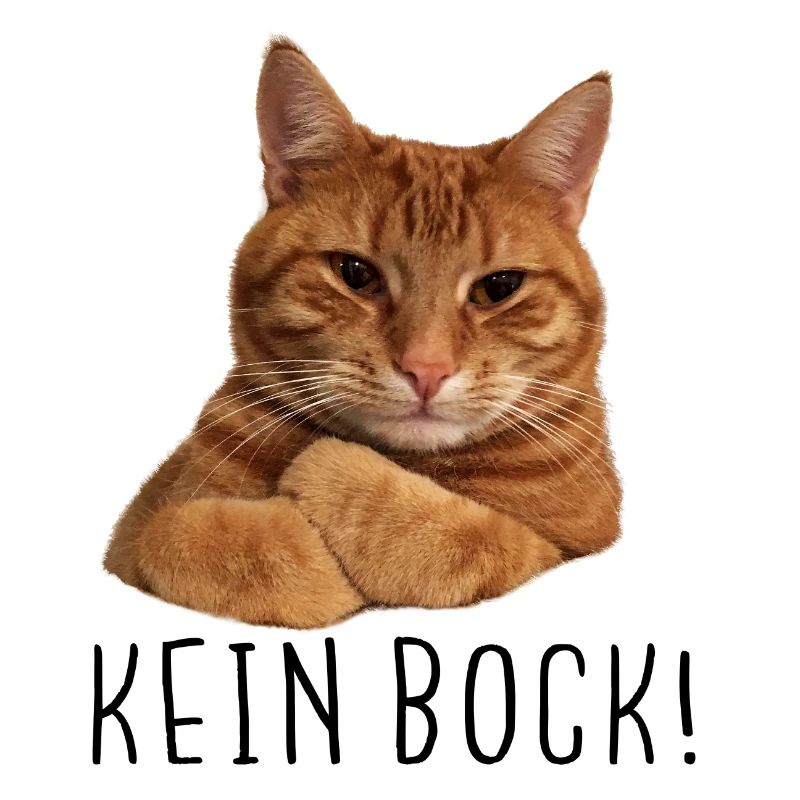 Katze lustiger Spruch " kein Bock ! " Geschenk