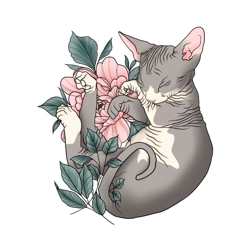 Shpynx Cat