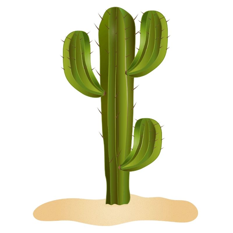 Grand cactus vert dans le désert dans le sable