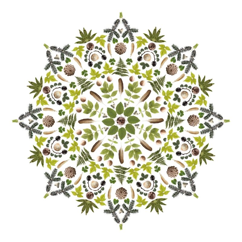 Waldmandala
