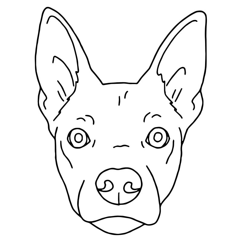 Hund