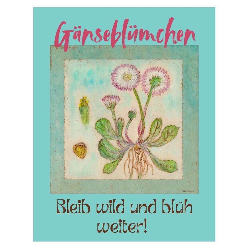 Gänseblümchen Wildblumen Print