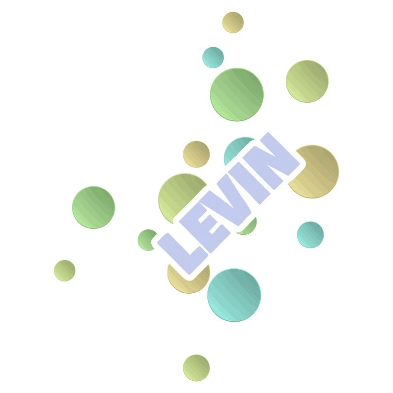 Levin as a student