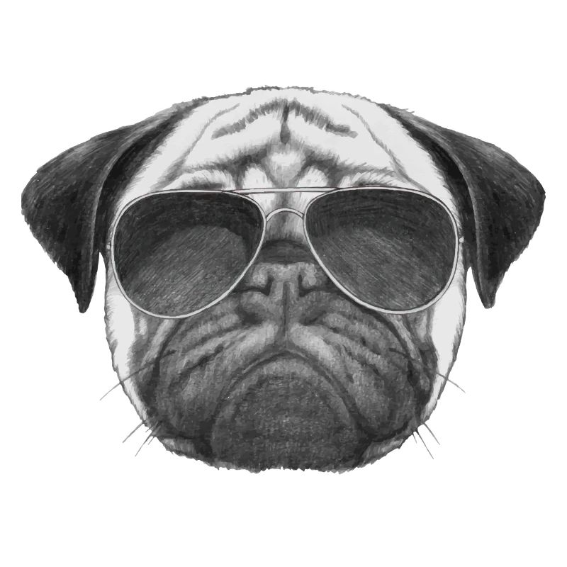 mops pug