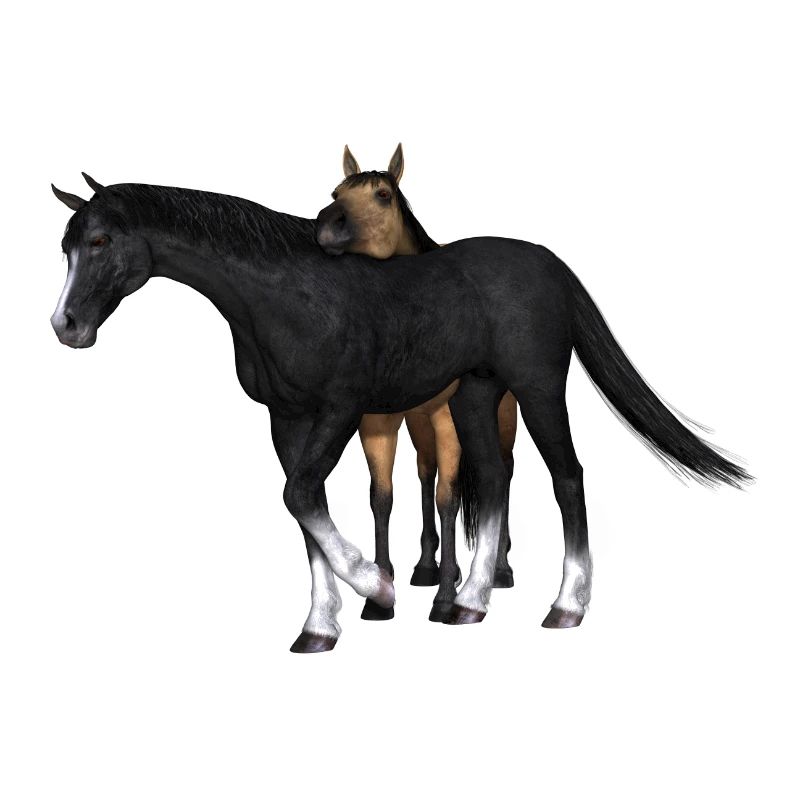 Cheval