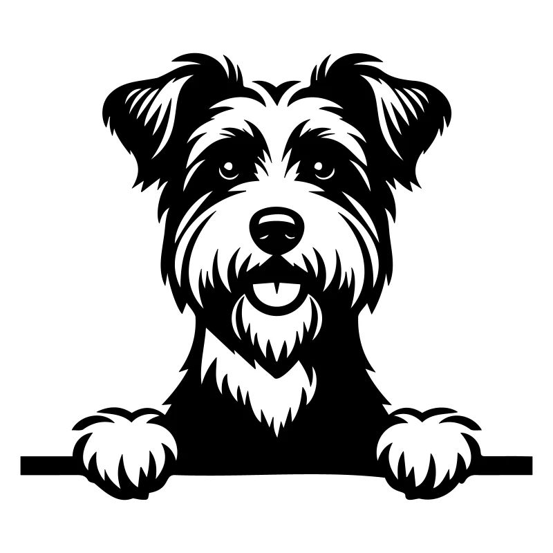 Terrier australien
