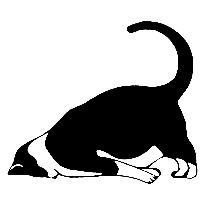 Schlafende Katze