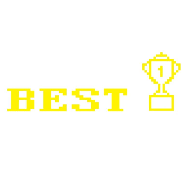 Programmer Coder Software Developer