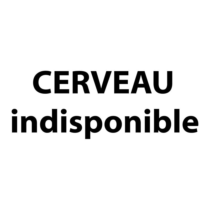 CERVEAU indisponible