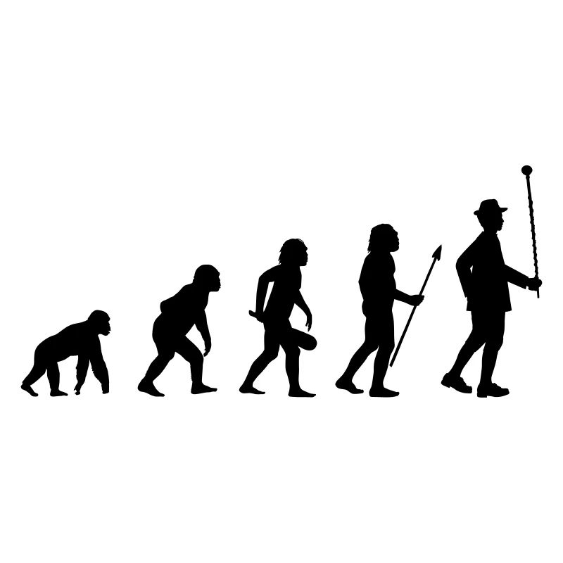 Stabführer Evolution