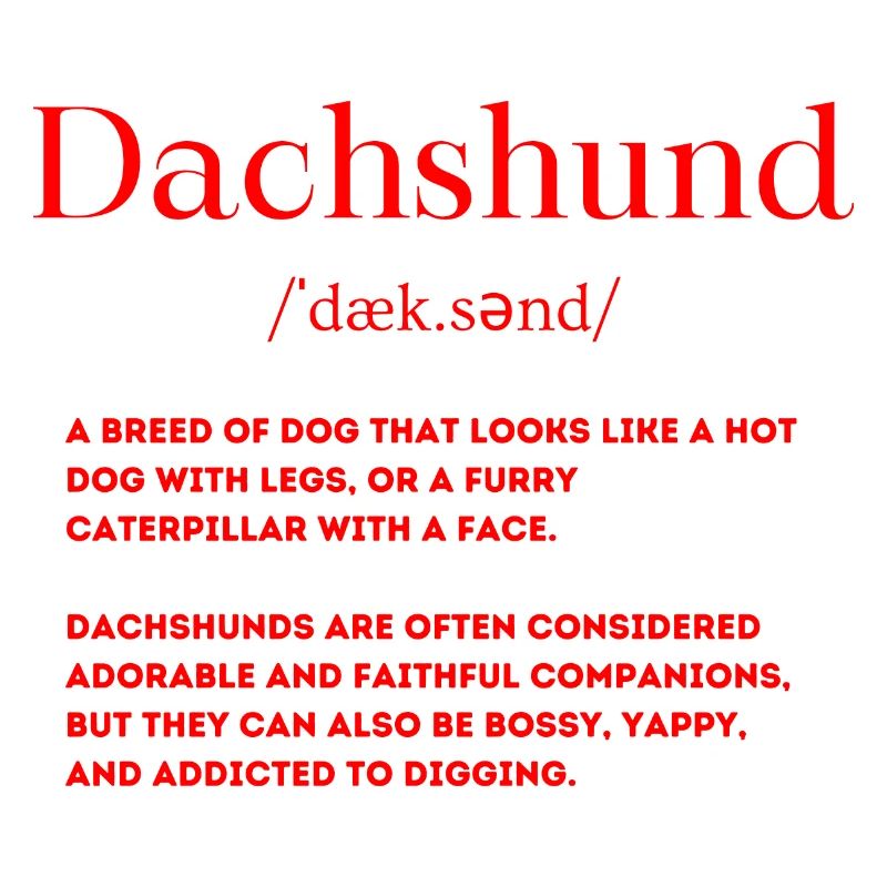 Dackel Definition