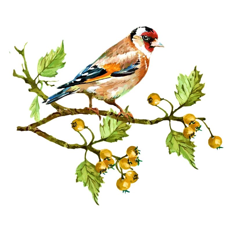 Bunter Vogel