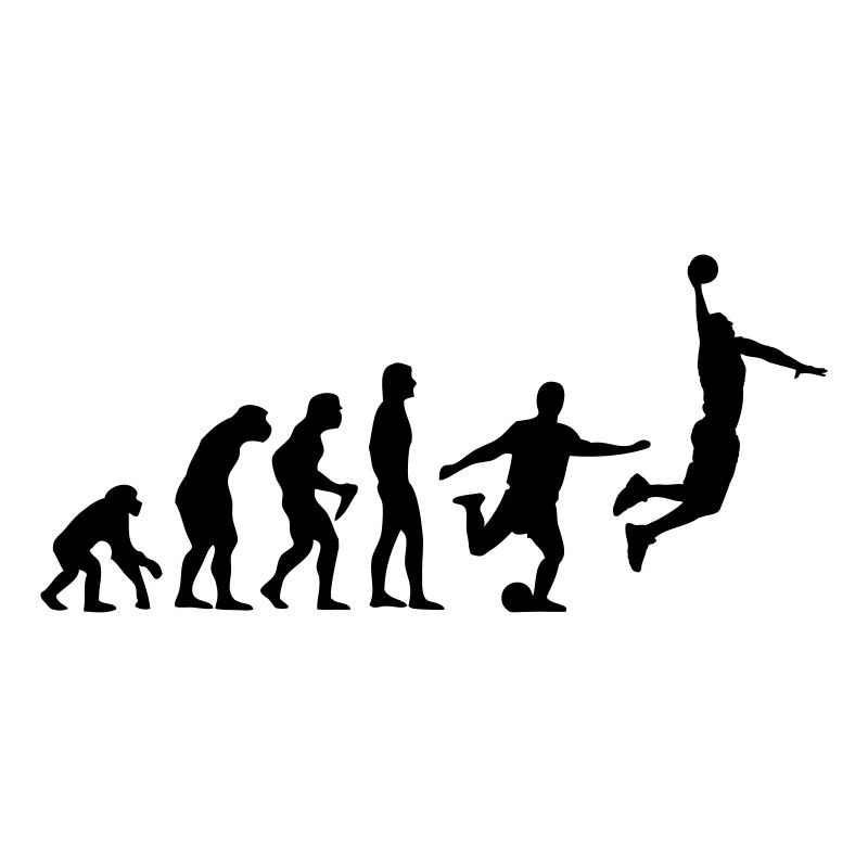 Basket-ball Evolution Basketball Basket