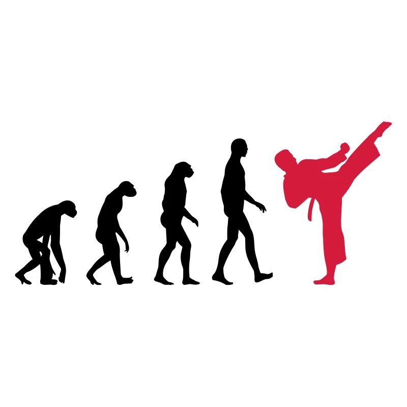 Karaté - Evolution