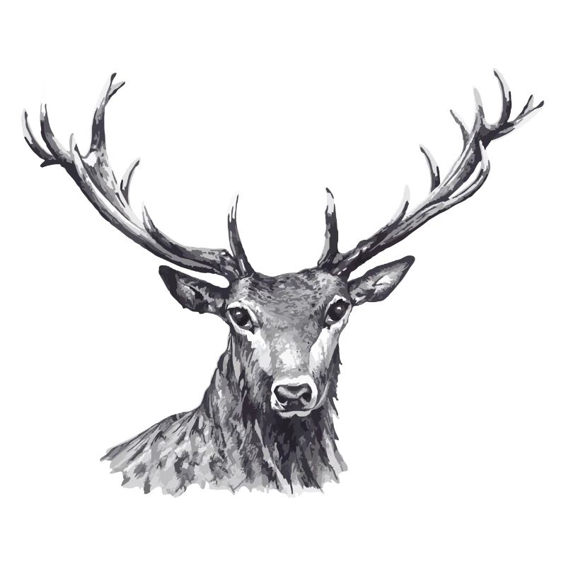 Hirsch