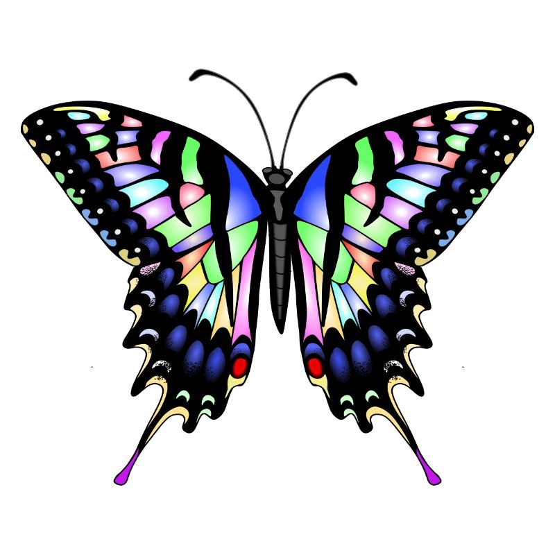 Dovetail Butterfly