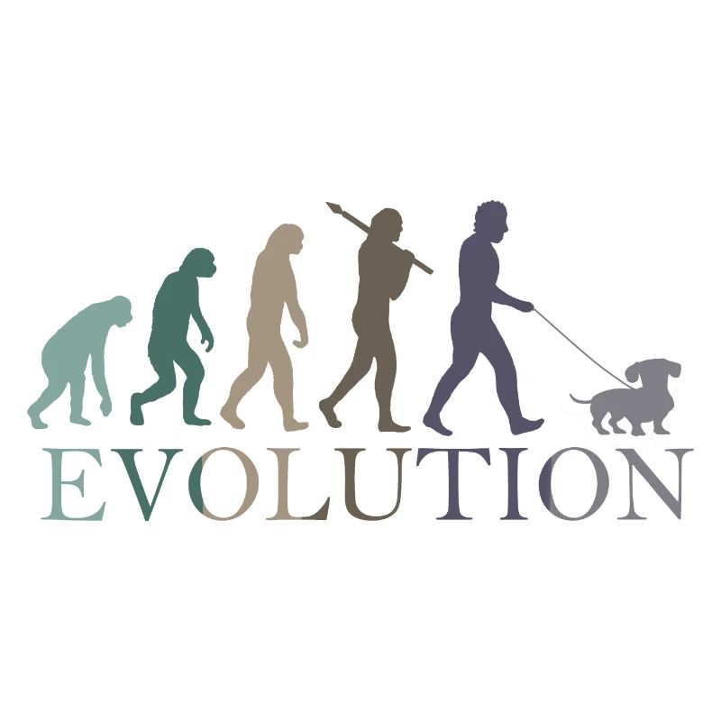 ÉVOLUTION DU TECKEL RÉTRO