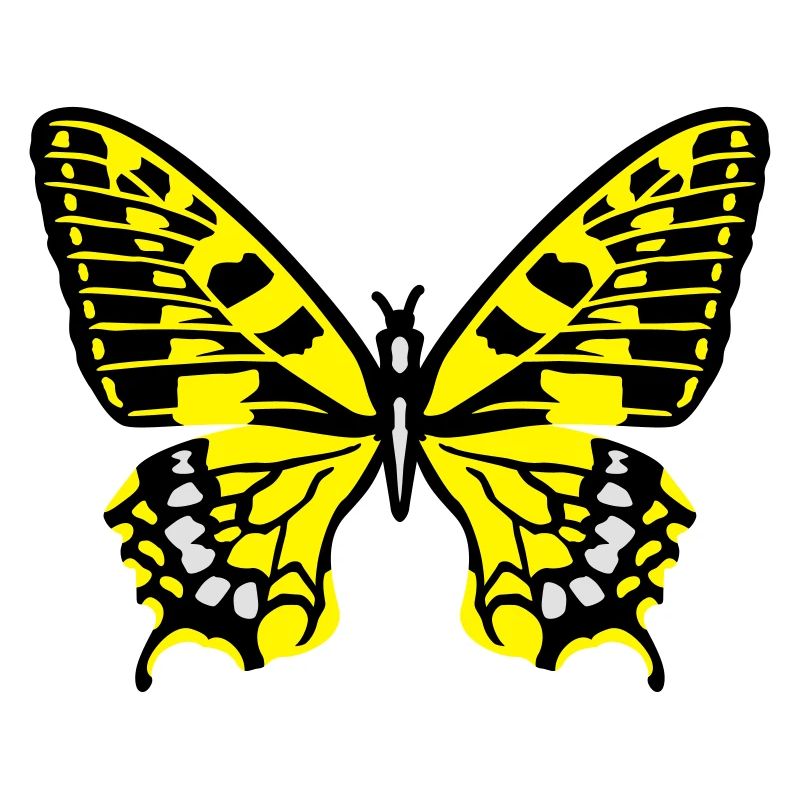 Papillon