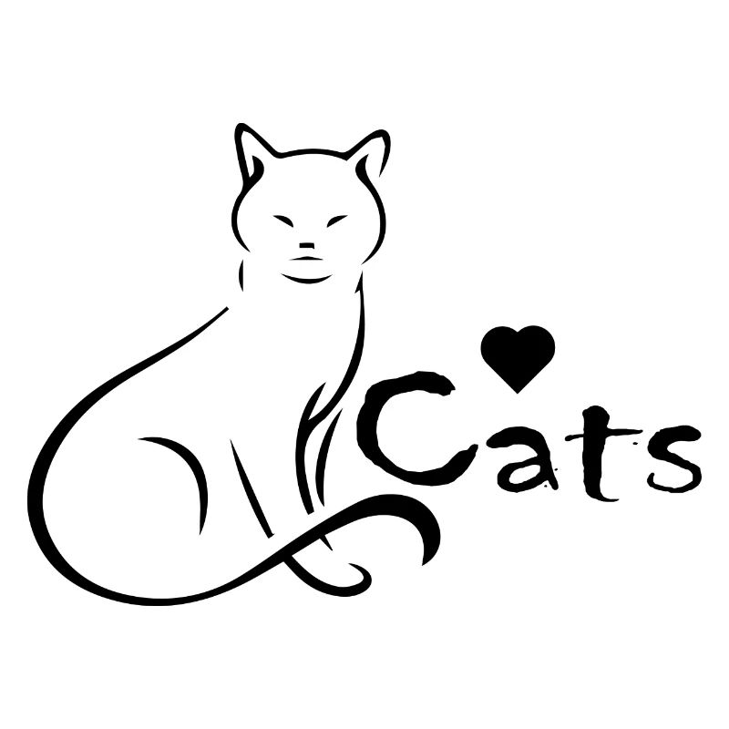 Chat Katze