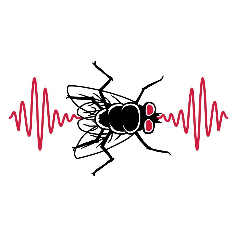 Puls Stubenfliege kleine Hausfliege