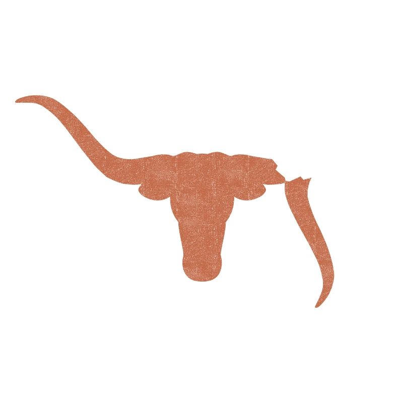 Stier
