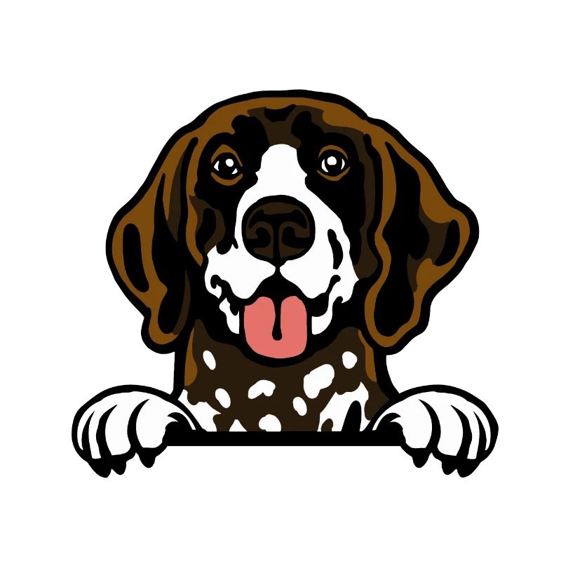 German Shorthaired Pointer Elegance