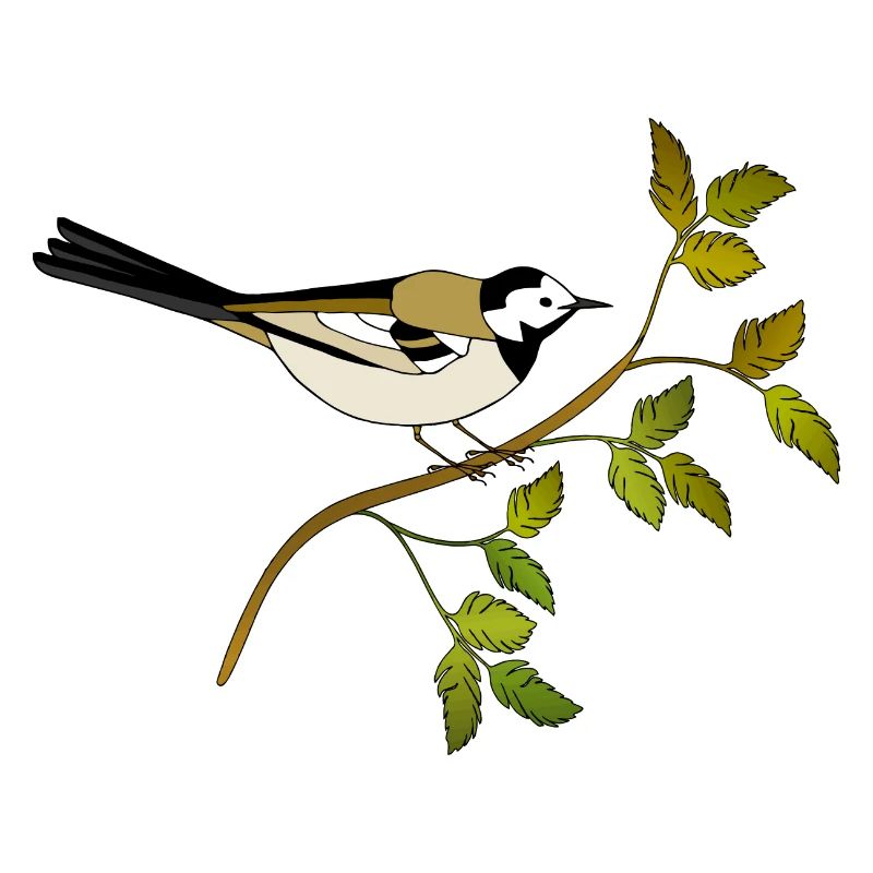 Bunter Vogel